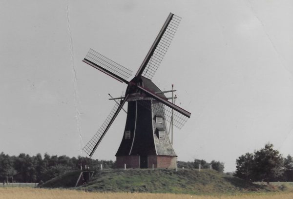 1959