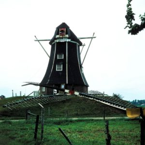 1981 - Molen Hermien met een gebroken Molenas